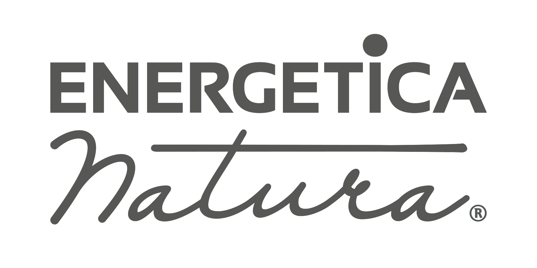 ENERGETICA-NATURA_logo grijs