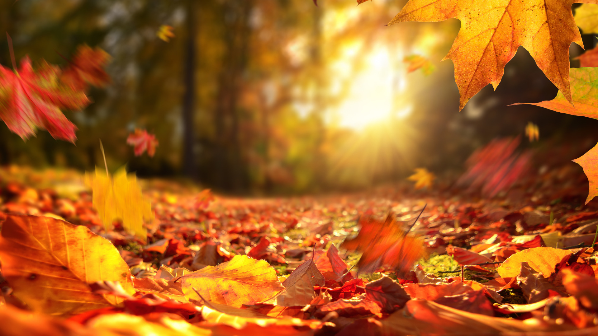 banner herfst