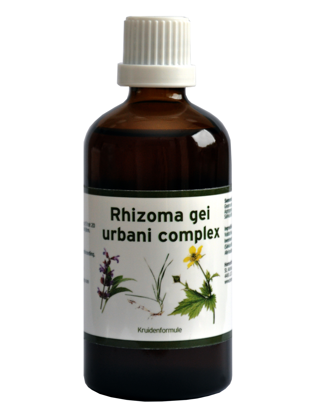 Rhizoma gei urbani complex