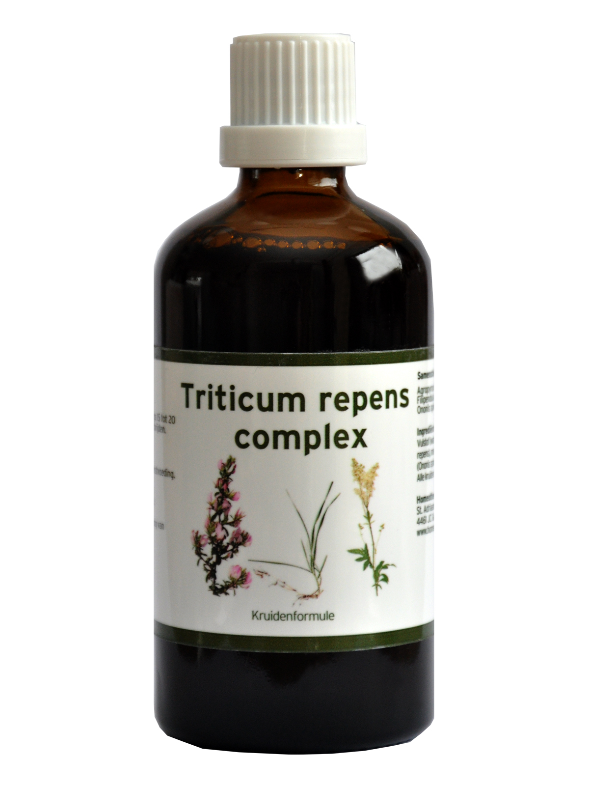 Triticum repens complex