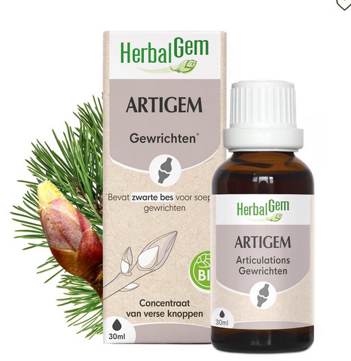 Artigem 2025