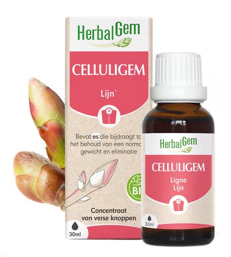 Celluligem 2025