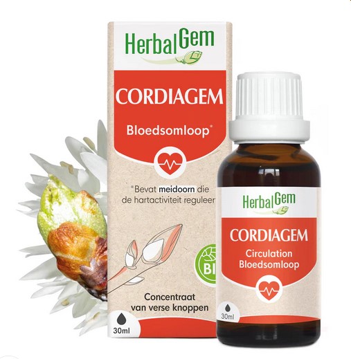 Cordiagem 2025