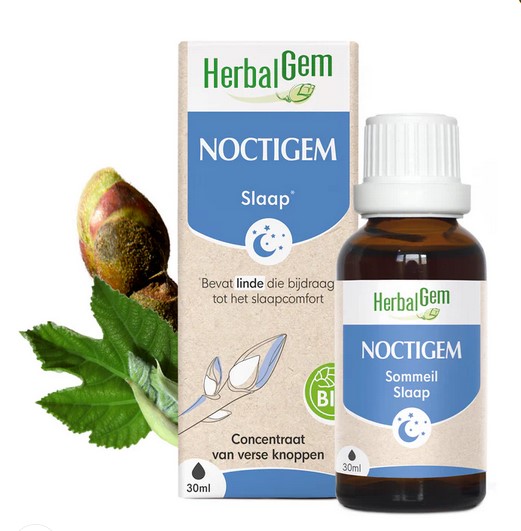 Noctigem 2025
