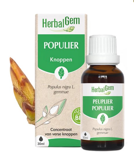 Populier 2025