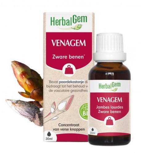 Venagem 2025
