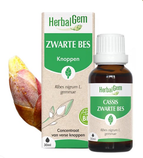 Zwarte bes 2025