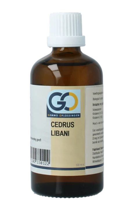 Cedrus Libani GO