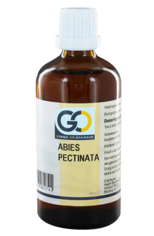 Abies pectinata GO