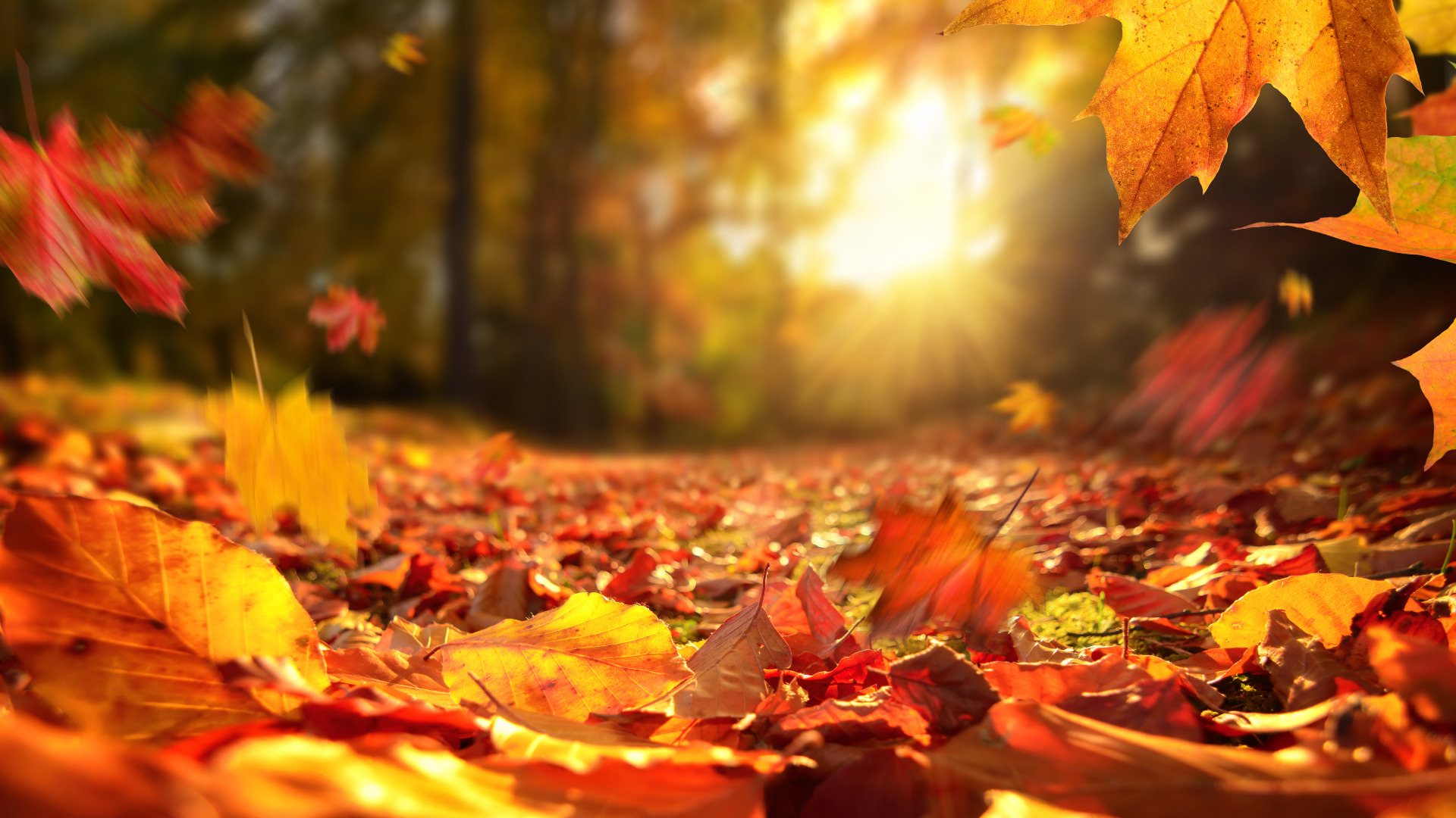 banner herfst