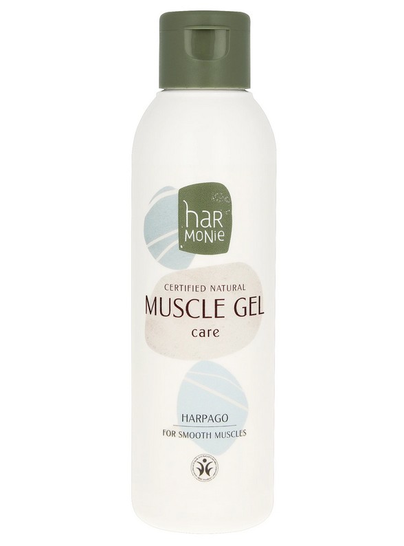 Harmonie spiergel 2026