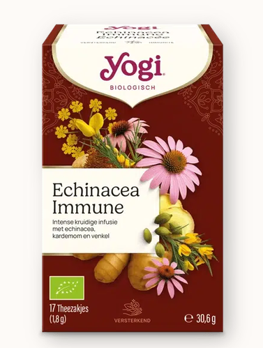 Echinacea
