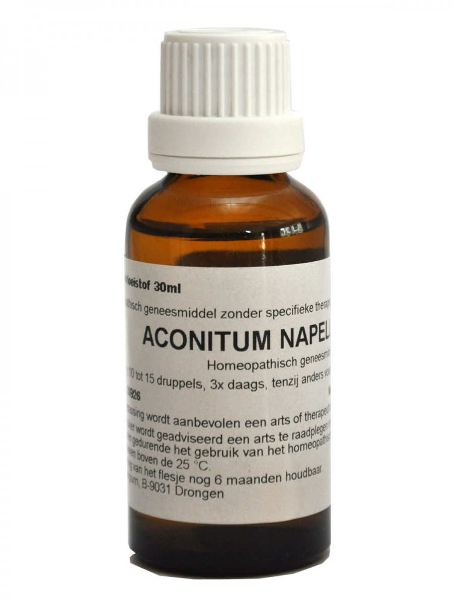 Aconitum_Napel