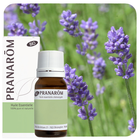 Pranarom - Lavendel (Echte)