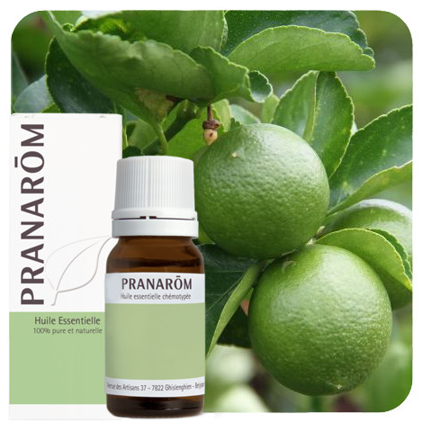 Pranarom - Lime of Limoen